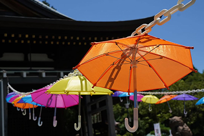 夏の画像2