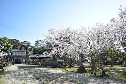 春の画像2