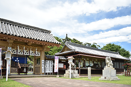 夏の画像2