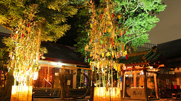 夏の画像1