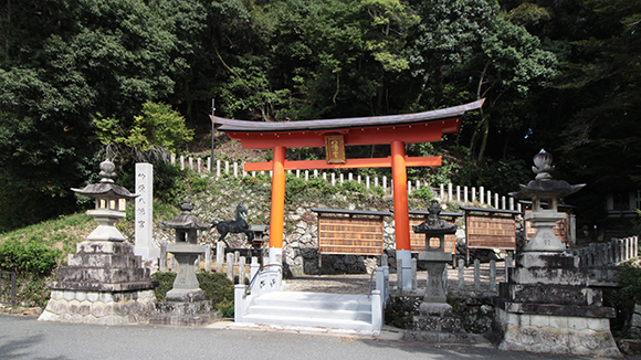 春の画像1