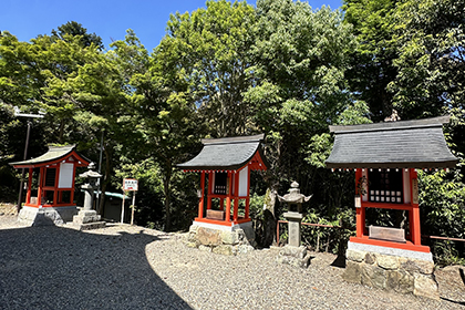 夏の画像2