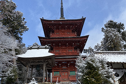 冬の画像2