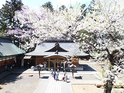 陸中一宮 駒形神社