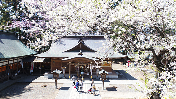 春の画像1