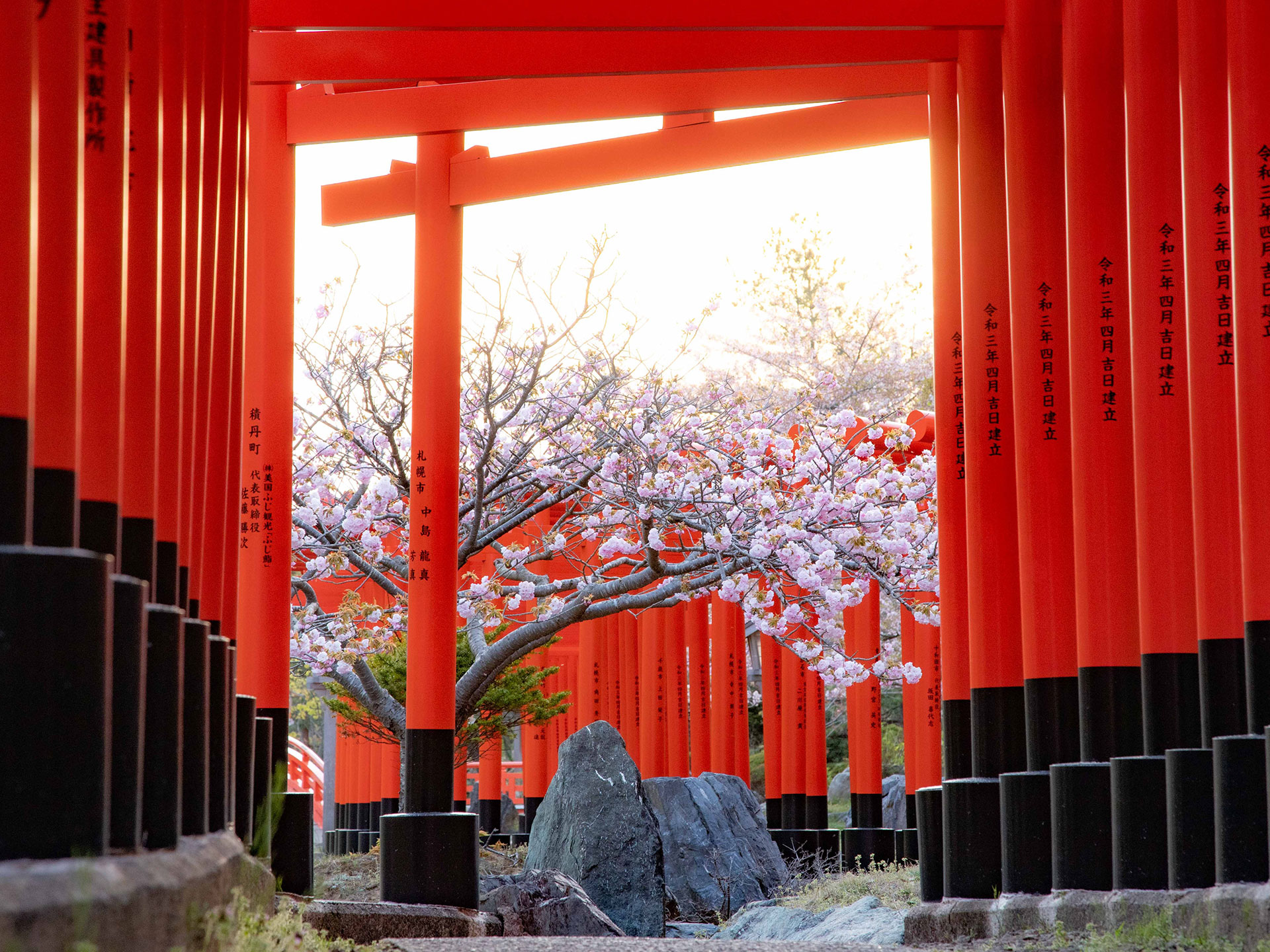 髙山稲荷神社