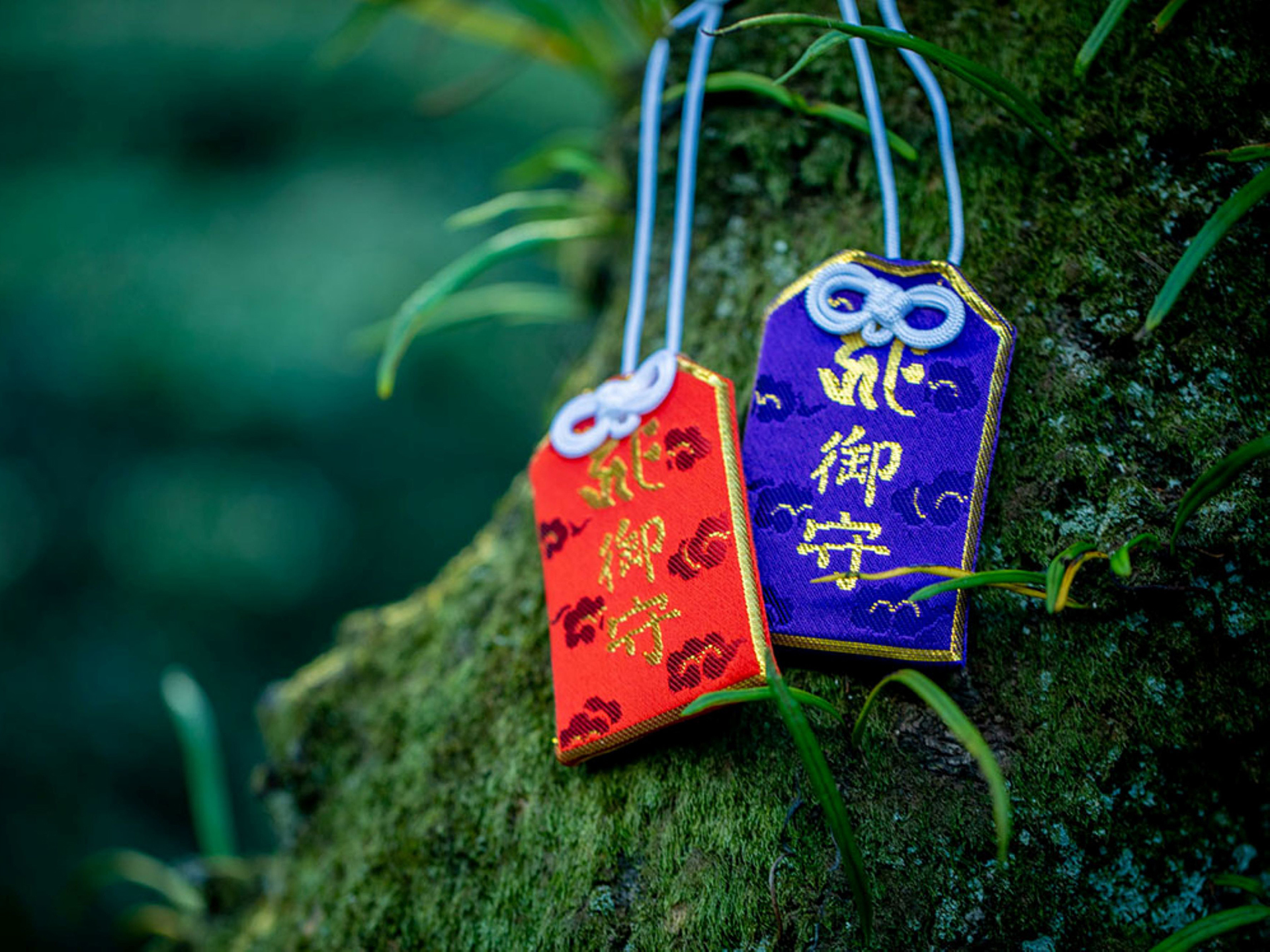 高野山真言宗　別格本山　金陵山西大寺（観音院）