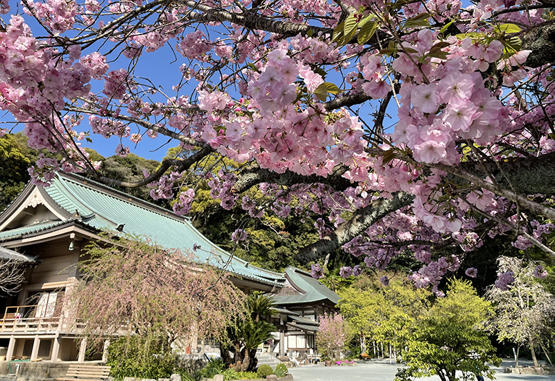 別格本山 鎮國寺