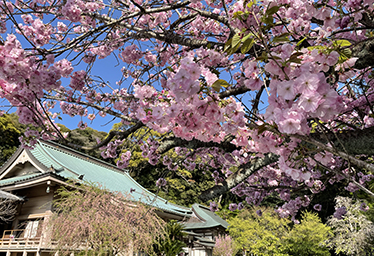 別格本山 鎮國寺
