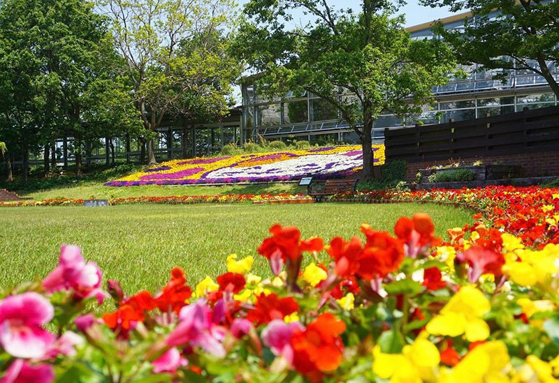 島根県花ふれあい公園しまね花の郷