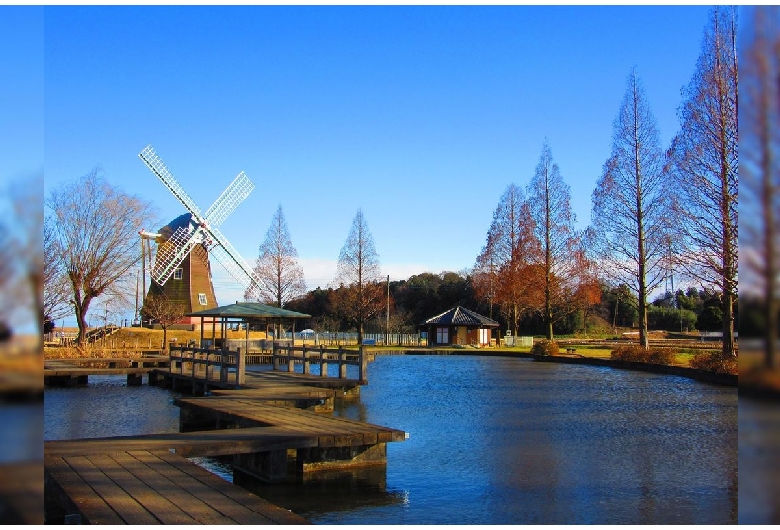 あけぼの山農業公園