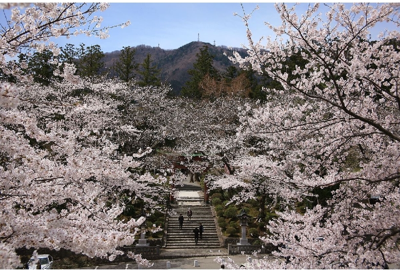 彌彦神社