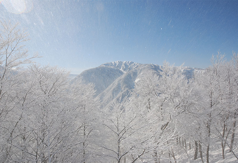 立山山麓スキー場