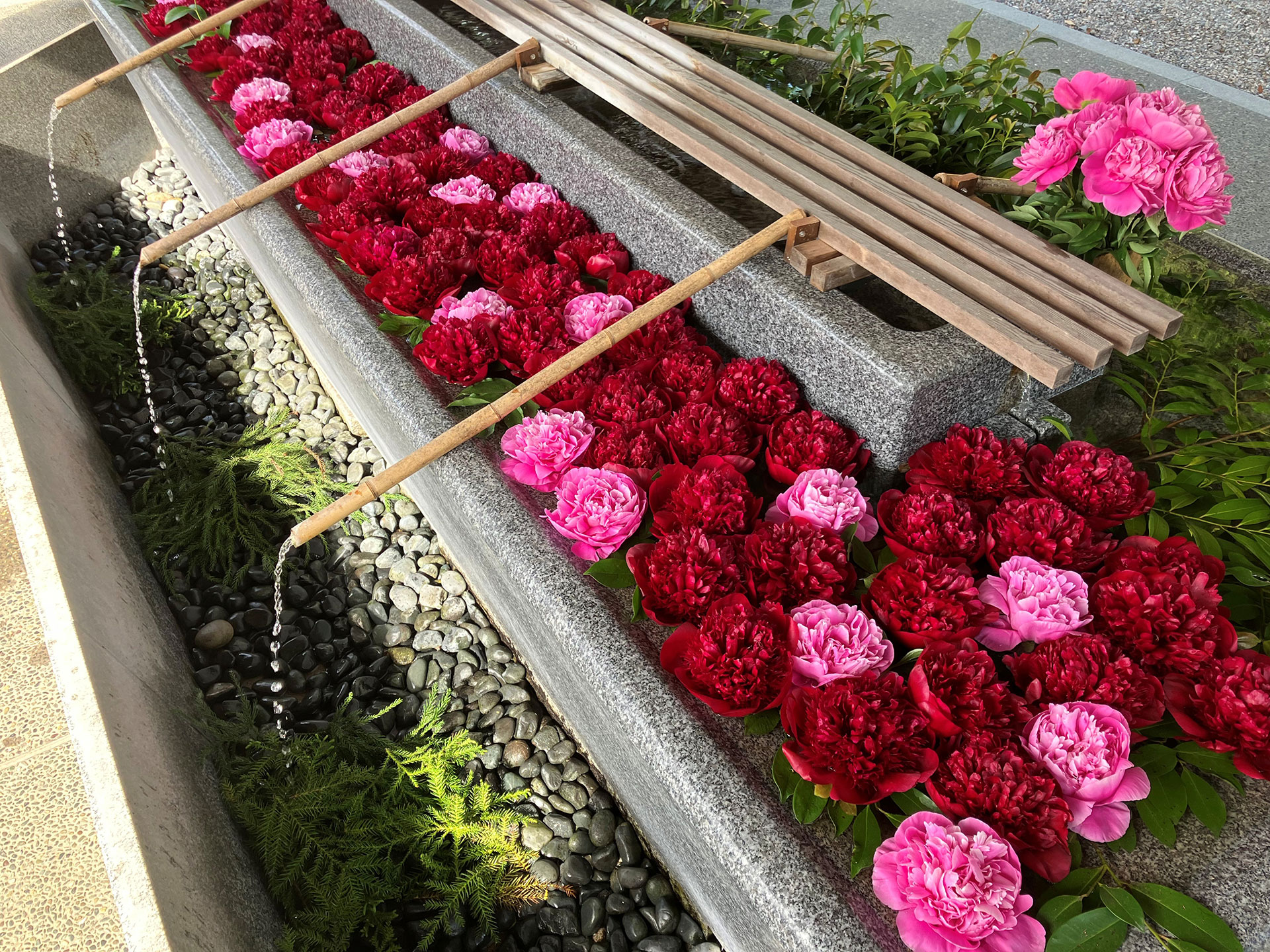 越中総鎮守一宮　射水神社