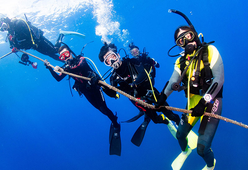 ARK Diving Shop 串本店＞透明度が抜群の串本の海でダイビング｜南紀