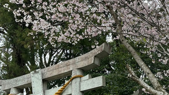 春の画像1