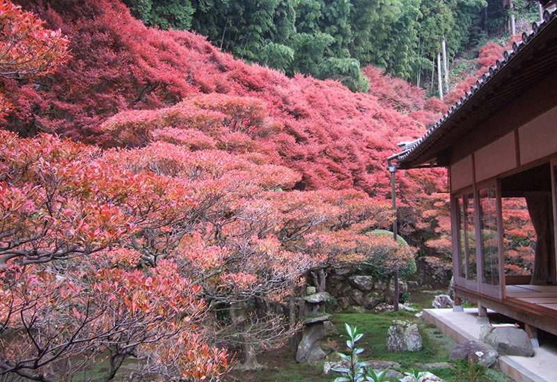 大龍寺