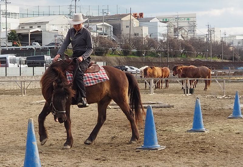 和種馬ホースランド