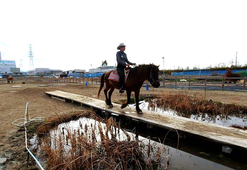 和種馬ホースランド