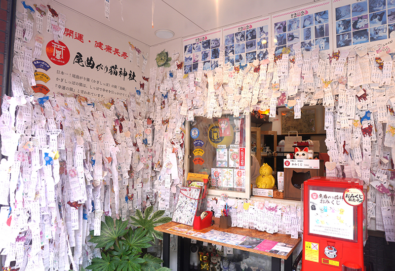 長崎尾曲がり猫神社