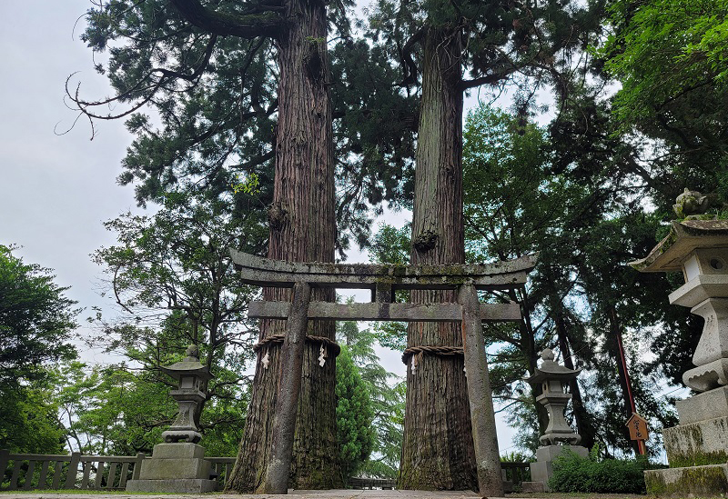 八幡朝見神社