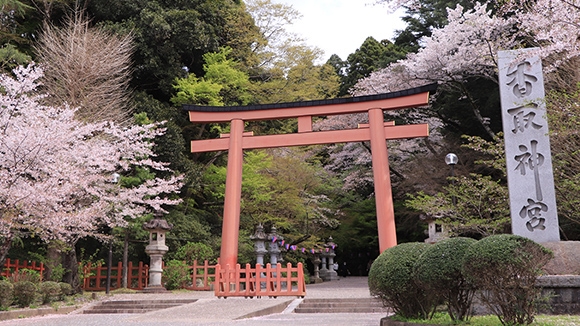 春の画像1