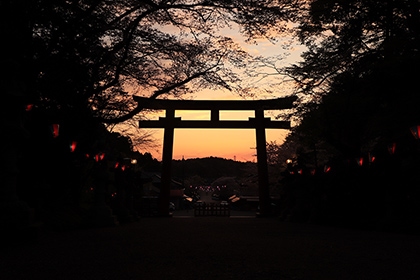 夏の画像2