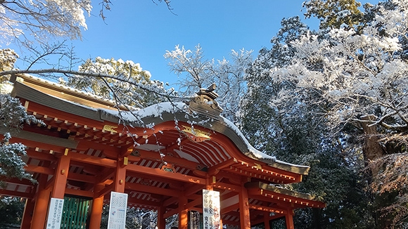 冬の画像1