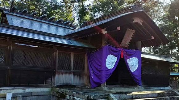 冬の画像1