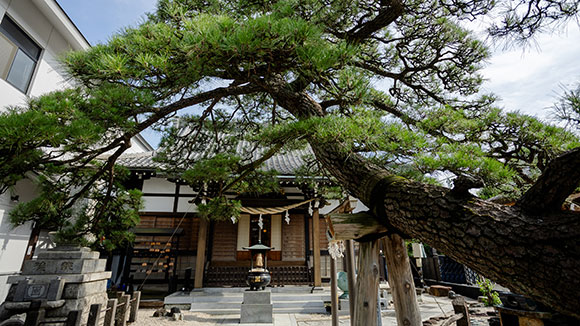 夏の画像1