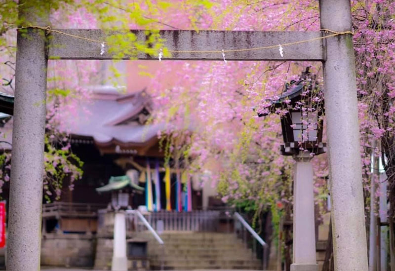 池尻稲荷神社