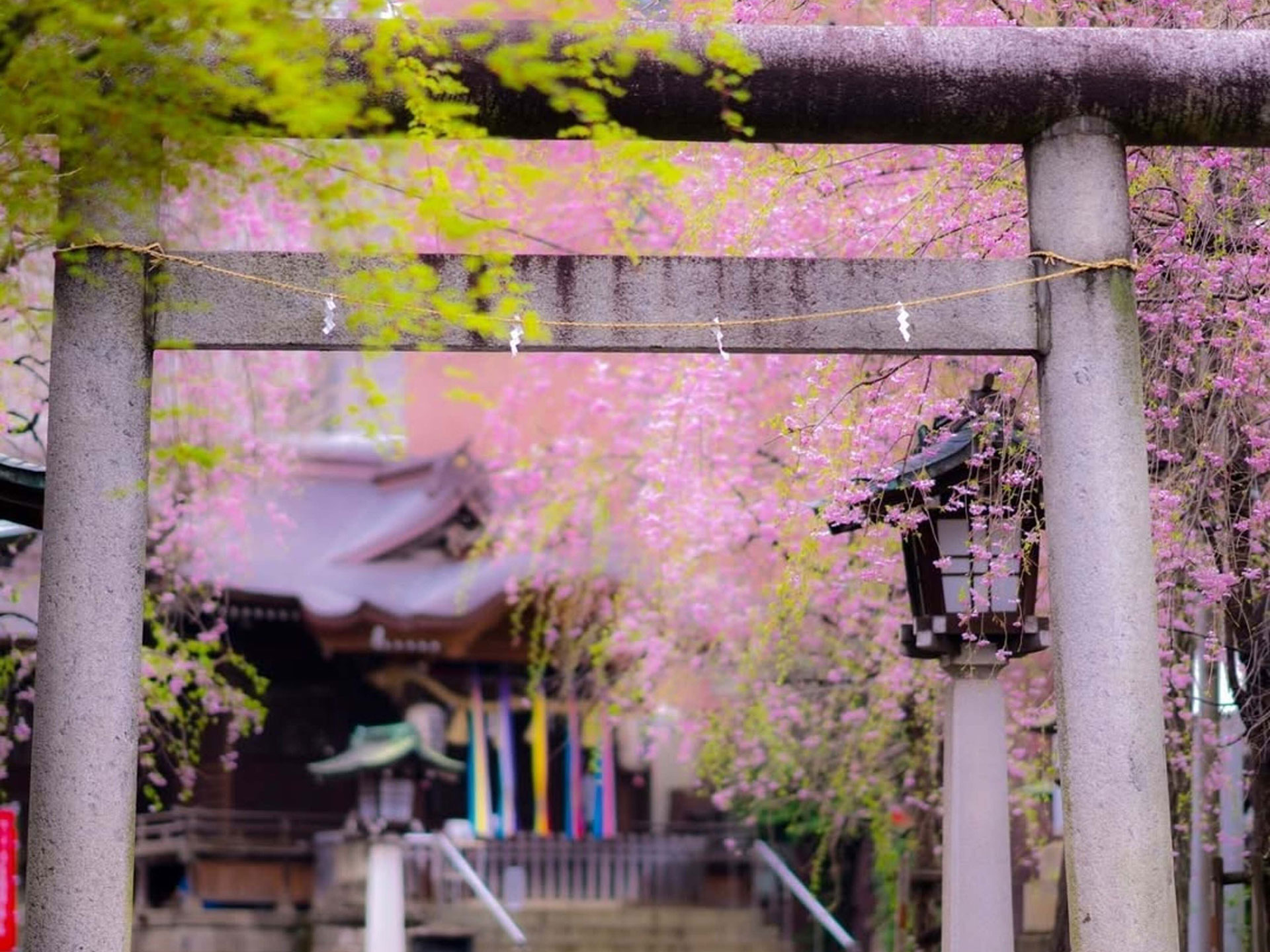 池尻稲荷神社