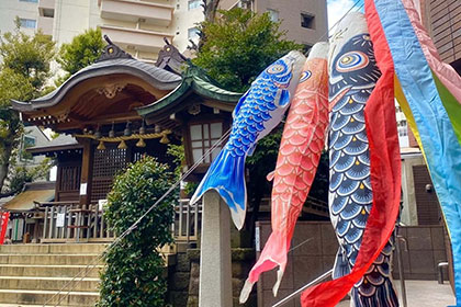 春の画像2
