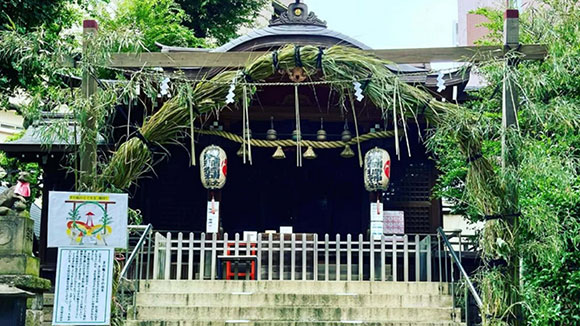 夏の画像1
