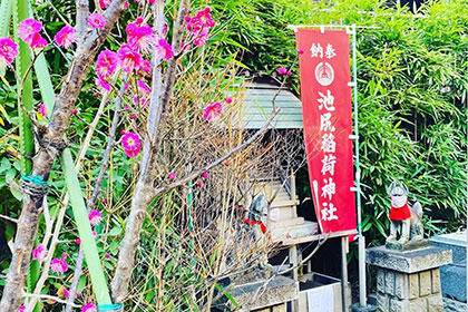 冬の画像2
