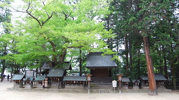 夏の画像1