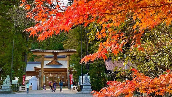 秋の画像1