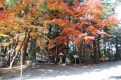 秋の画像2