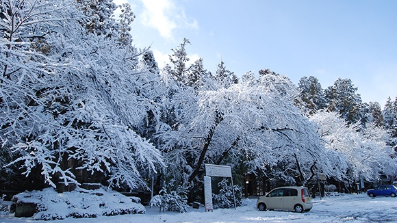 冬の画像1