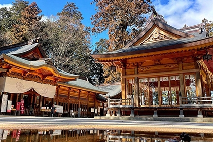 冬の画像2