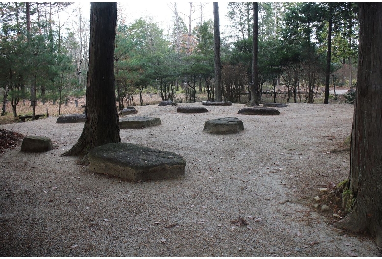 紫香楽宮跡（内裏野地区）