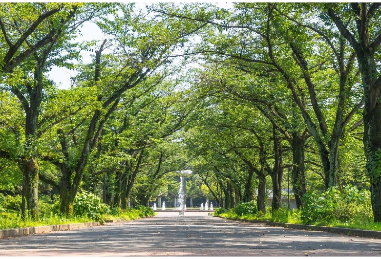 府中の森公園