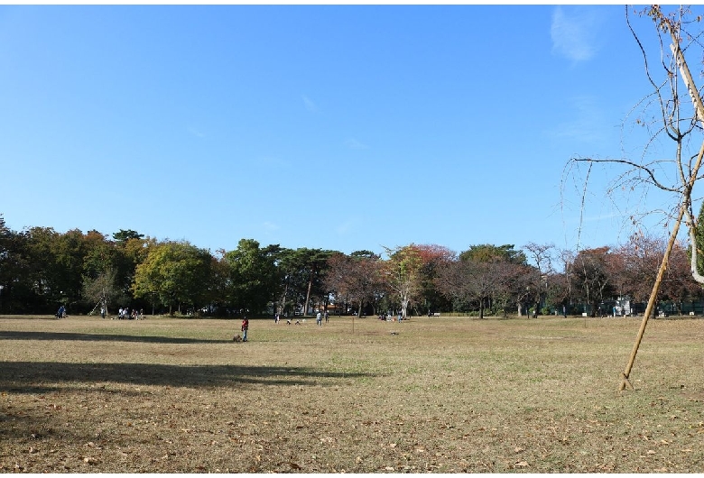 柏の宮公園