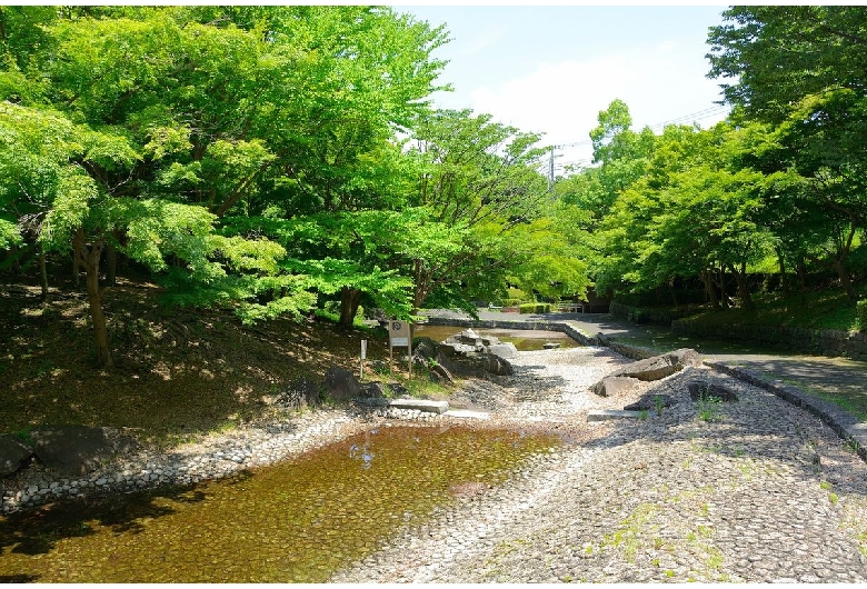 一本杉公園