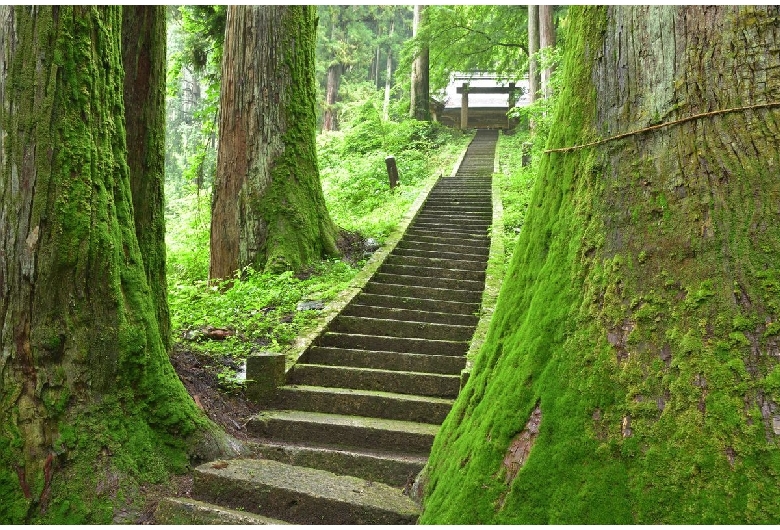 加蘇山神社