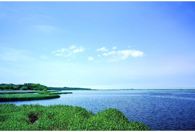 小清水原生花園