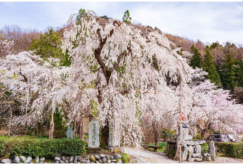 法善寺