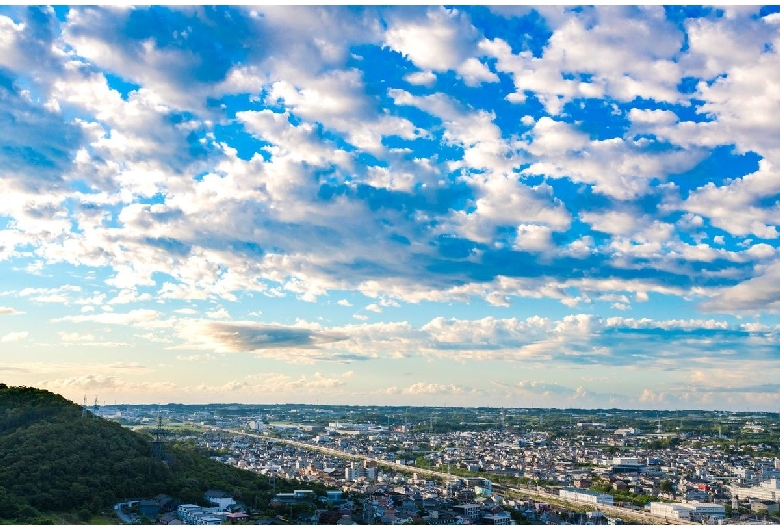 岩屋緑地