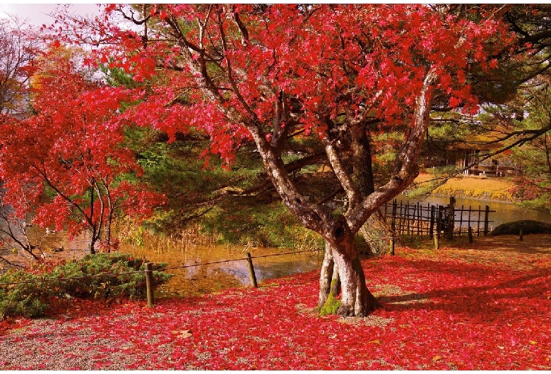 五十公野御茶屋（奉先堂公園）