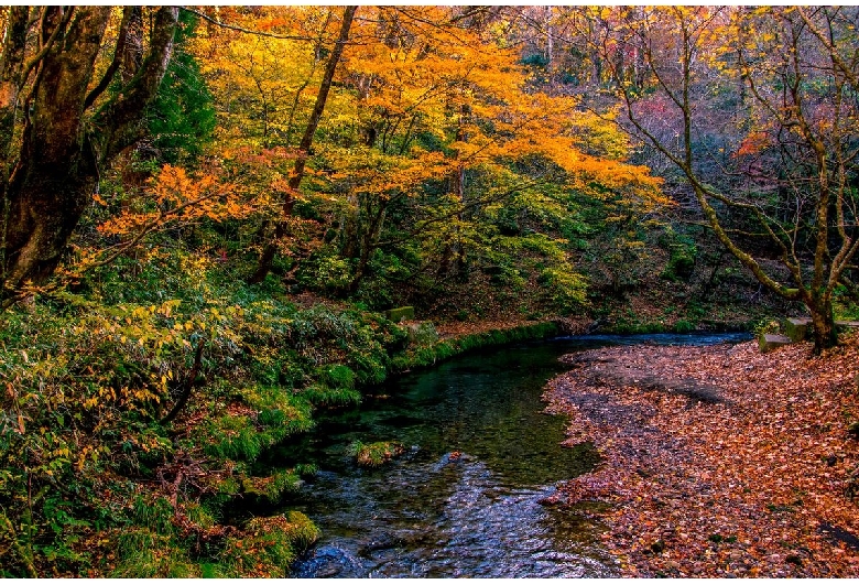 男池湧水群